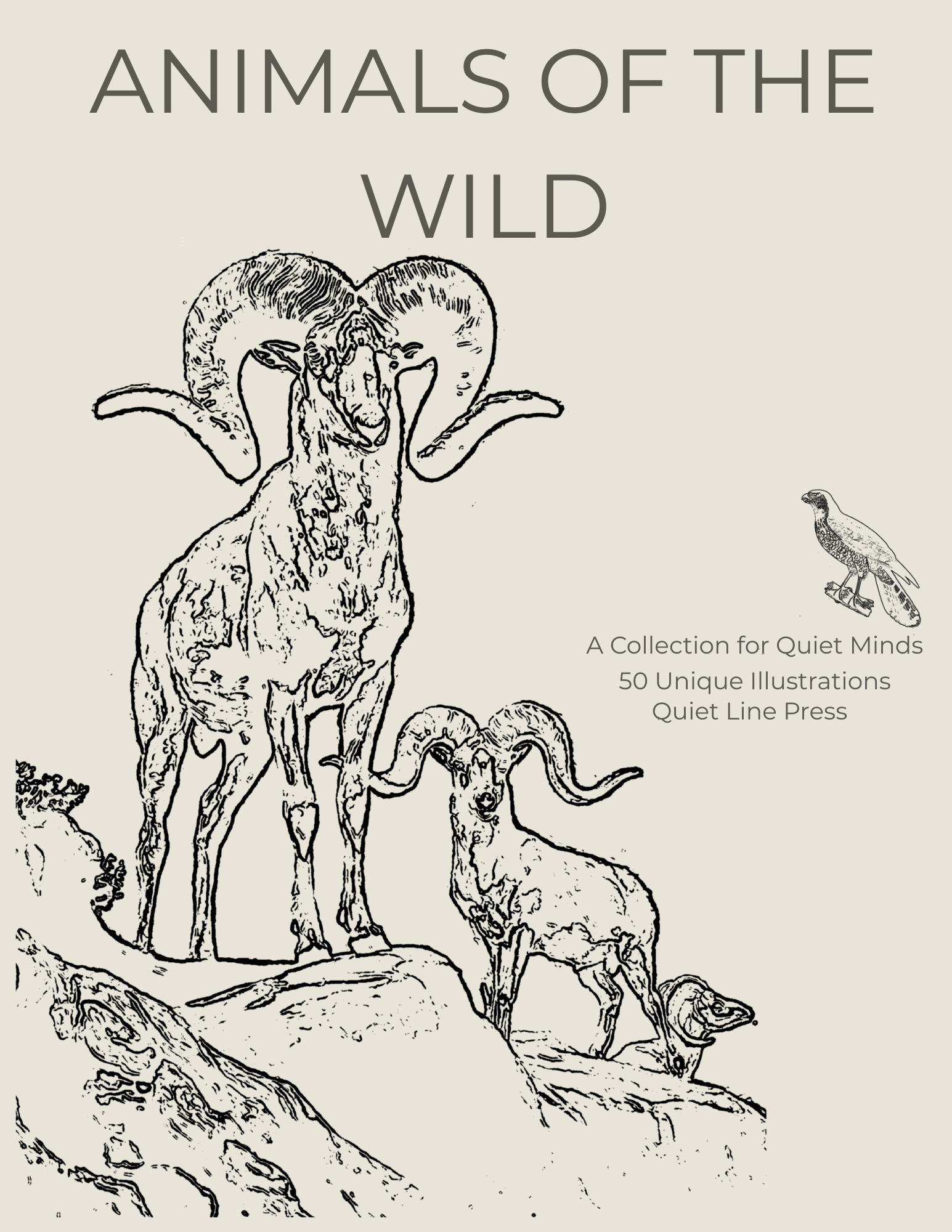 Animals of The Wild — Colouring Book