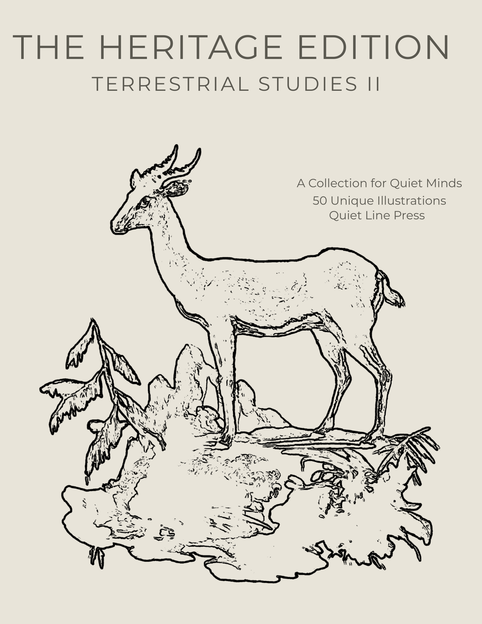Terrestrial Studies Vol. 2 — Colouring Book