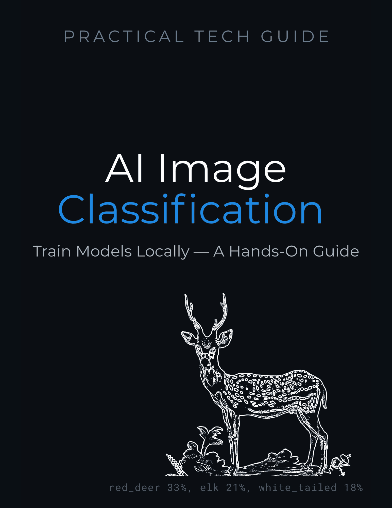 AI Image Classification — eBook