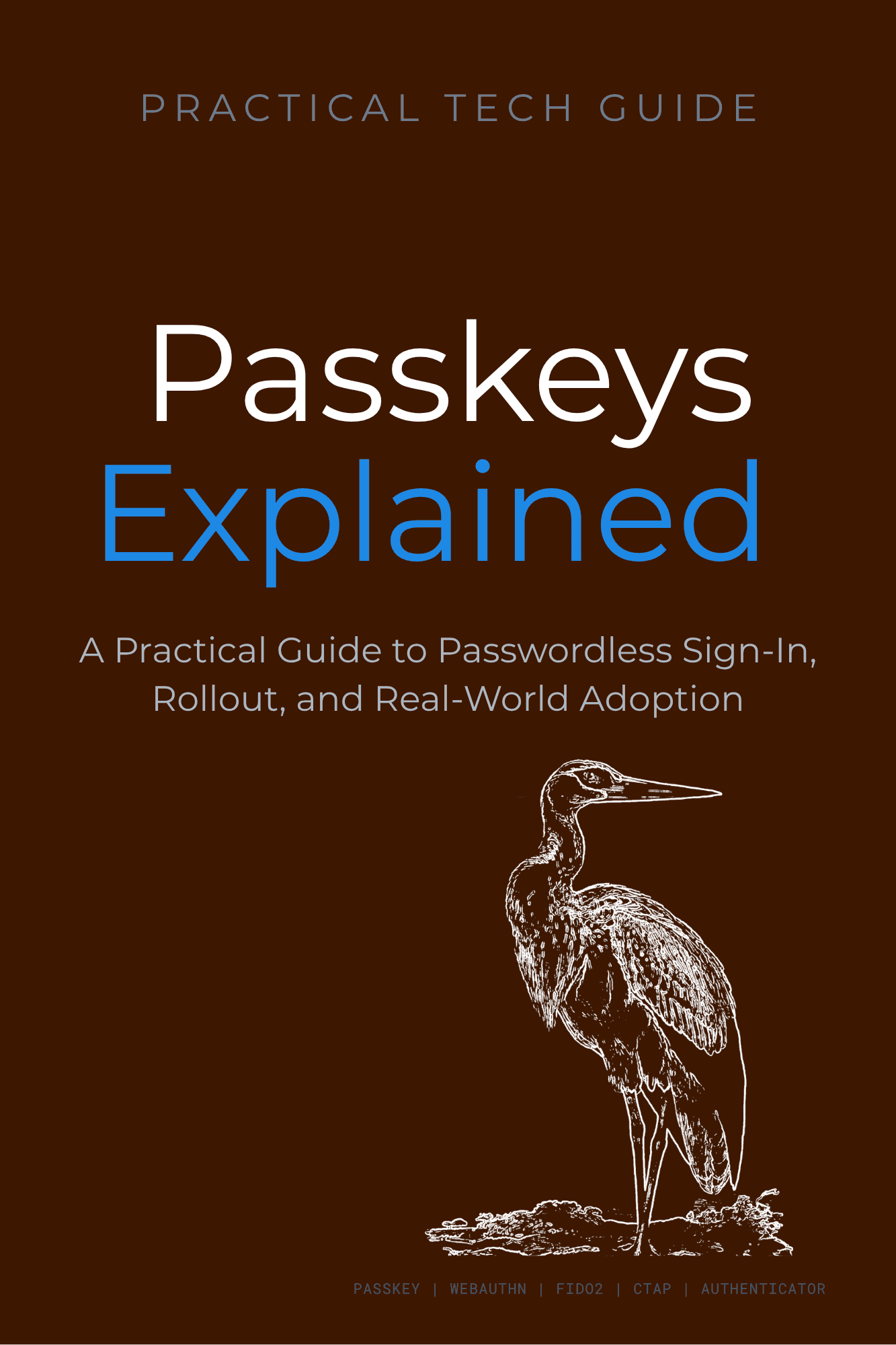 Passkeys Explained — eBook